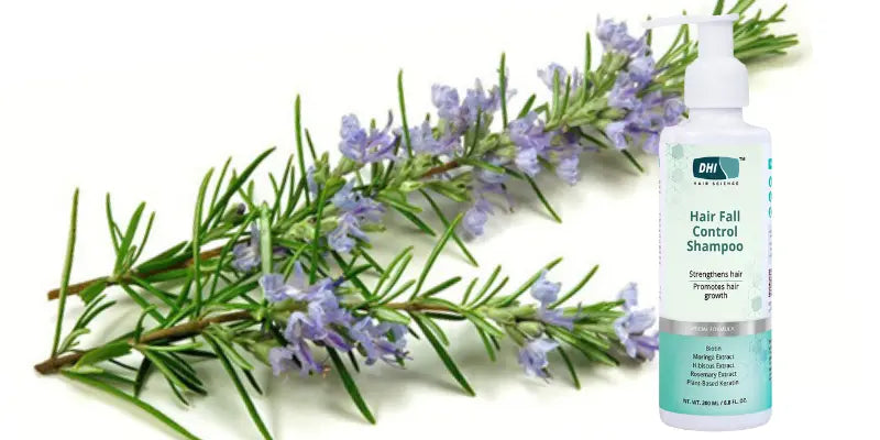 Rosemary Extract: My Grandmother’s Secret and Now Mine