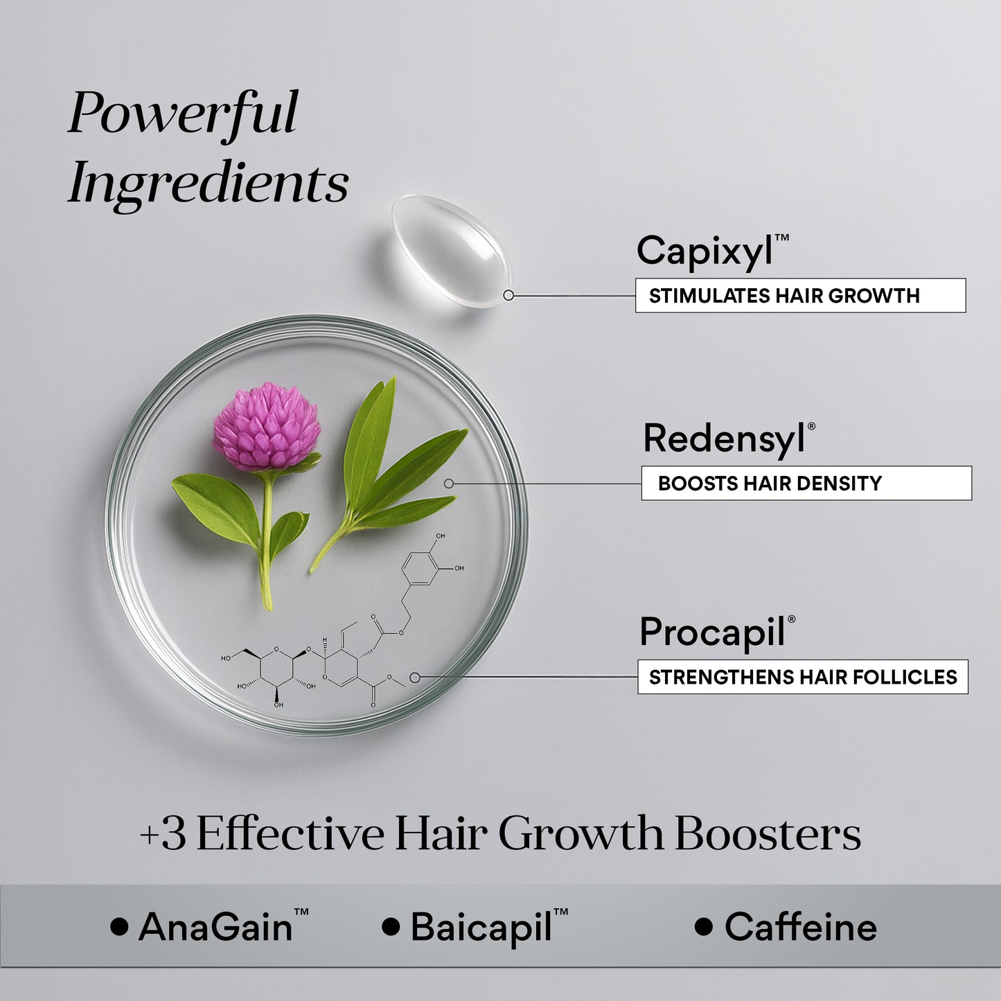Hair Growth Serum with 19% Active Blend | 5% Capixyl, 3% Procapil, 3% Redensyl, 3% Anagain | 30 ml