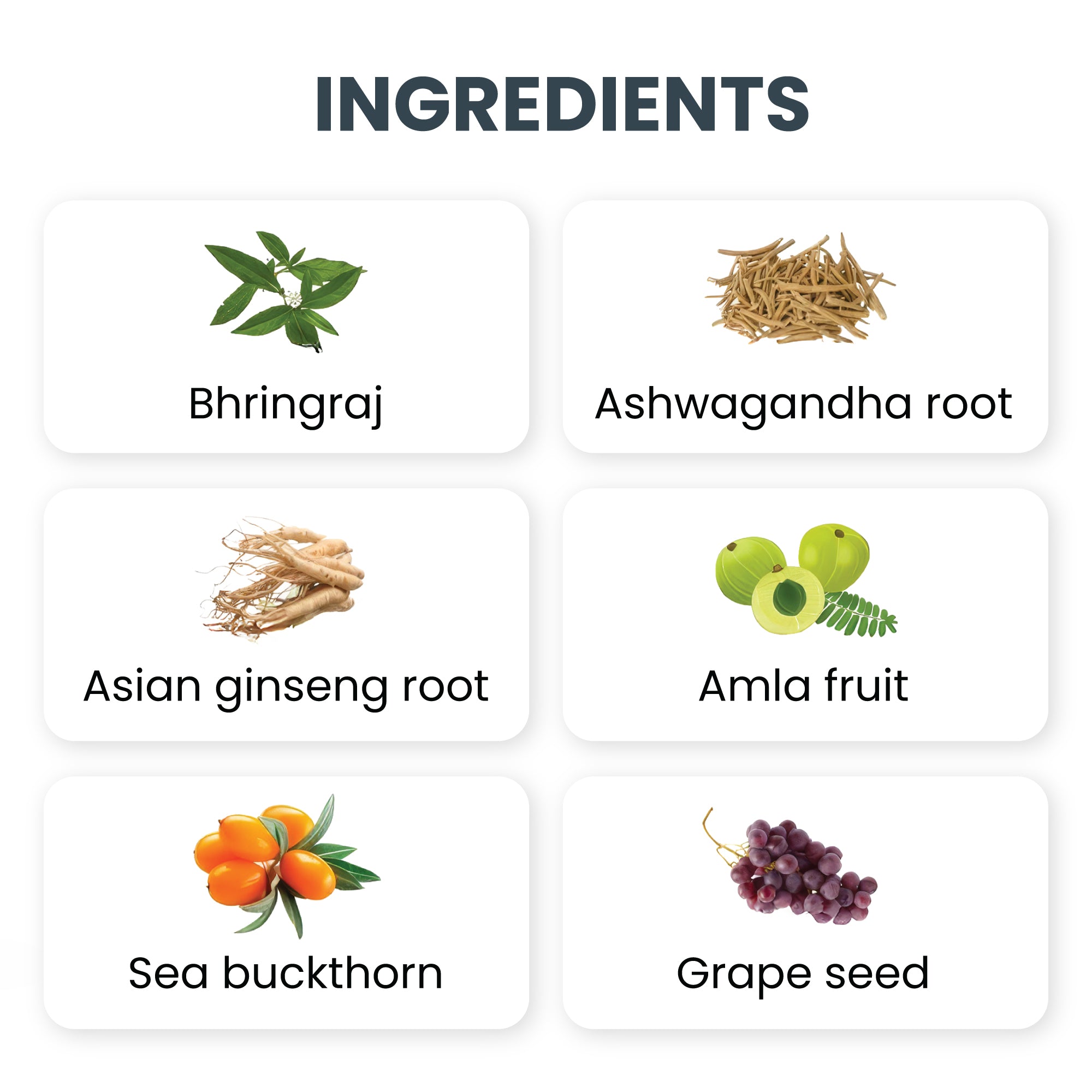 Multivitamin Capsules with Biotin & Ayurvedic Herbs | 60 Capsules