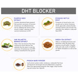 DHI DHT Blocker Contain Saw Palmetto & Pumpkin Seed Powder Controls Hair Fall & Boost Hair Growth - 60 Veg Capsules